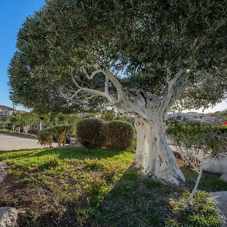 Apartmán Marconi 6 *